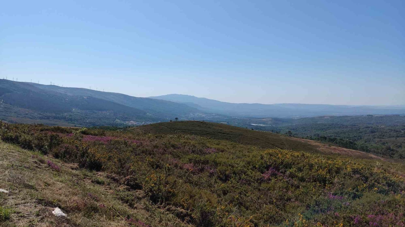 Las tierras raras: el recurso estratégico que podría cambiar el futuro de Valdeorras Las tierras raras: el recurso estratégico que podría cambiar el futuro de Valdeorras