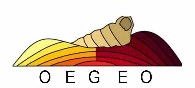 La décimo sexta Olimpiada Española de Geología se celebra en Lleida