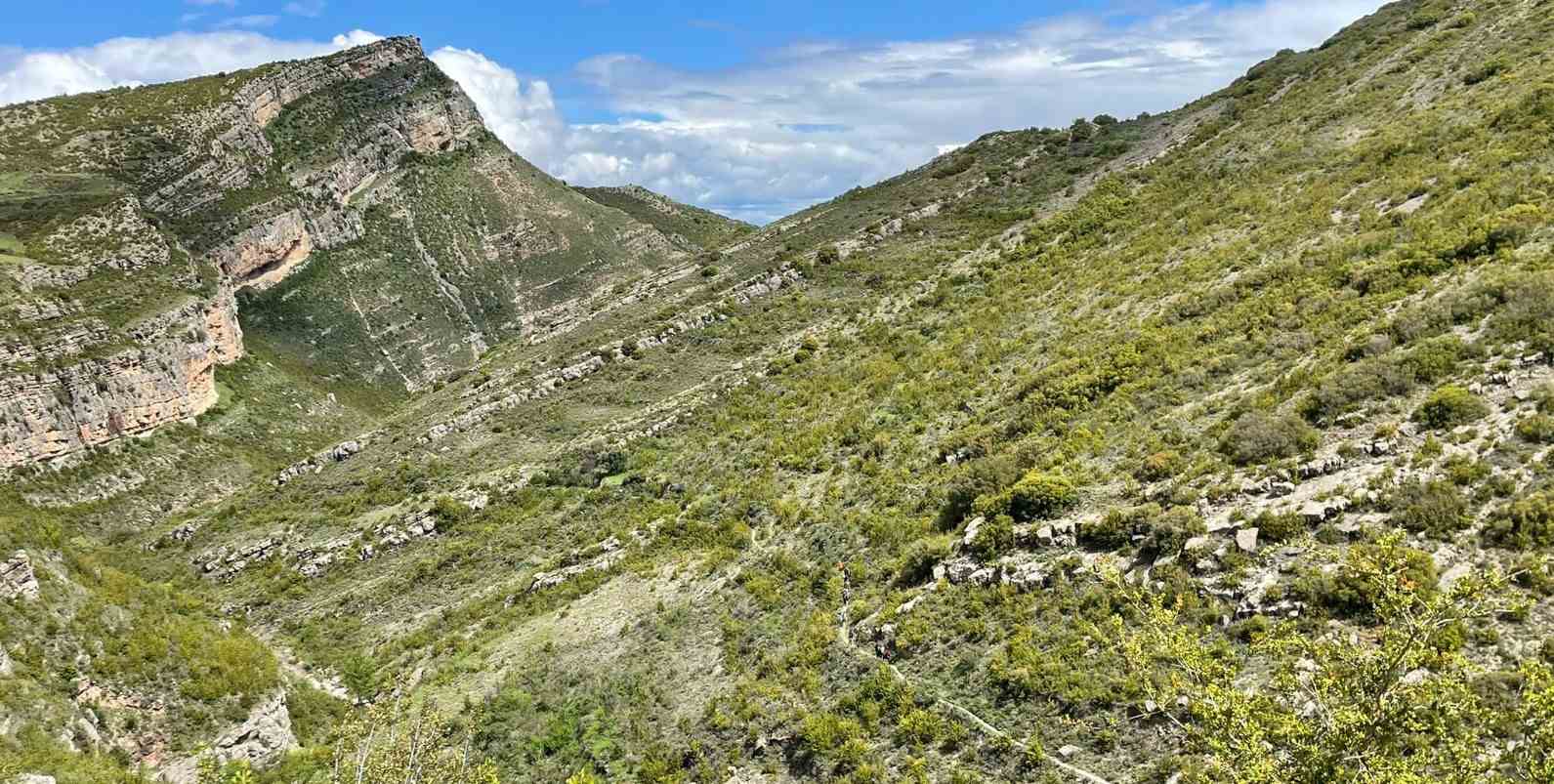 Geolodía de La Rioja 2025: Un Hito en la Convergencia entre Ciencia, Patrimonio y Sostenibilidad.